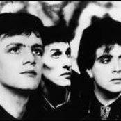 Icicle Works - List pictures
