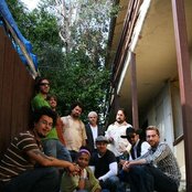 Orgone - List pictures