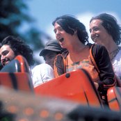 Animal Collective - List pictures