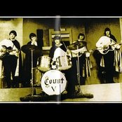 The Count Five - List pictures