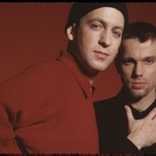 Camouflage - List pictures