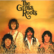 Grassroots - List pictures