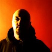 The Bug - List pictures