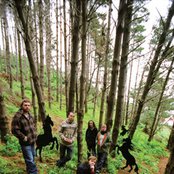 The Phoenix Foundation - List pictures