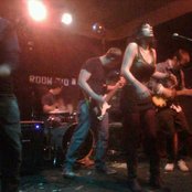 A Giant Dog - List pictures