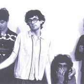 Half Japanese - List pictures