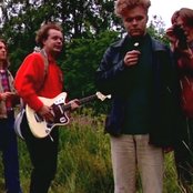 Aknestik - List pictures