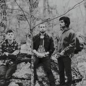 Yeasayer - List pictures