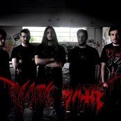 Black Path - List pictures