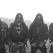 Nocturnal - List pictures