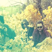 Flyying Colours - List pictures