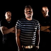 Screaming Headless Torsos - List pictures