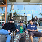 Ugly Duckling - List pictures