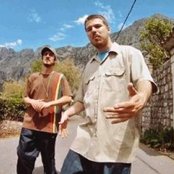 Who See - List pictures