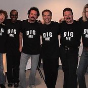 Toto - List pictures