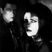 Curve - List pictures