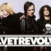 Velvet Revolver - List pictures
