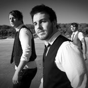 Between The Trees - List pictures