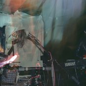 Is Tropical - List pictures