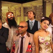 Dengue Fever - List pictures