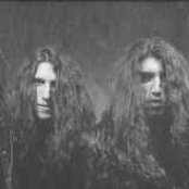 Viper - List pictures