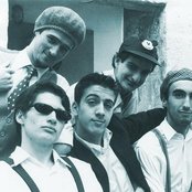 Ornatos Violeta - List pictures