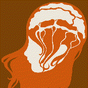 Drivesafe - List pictures