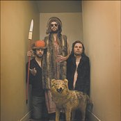 Plants And Animals - List pictures