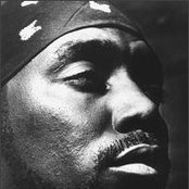 Big Daddy Kane - List pictures