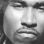 Flesh-n-bone - List pictures