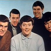 The Animals - List pictures