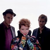 Ilya - List pictures