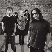 Cold - List pictures