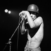 Pop Iggy - List pictures