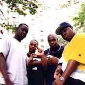 Screwball - List pictures