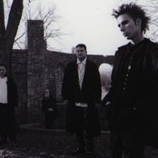 Gossamer - List pictures