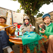 Bonobos - List pictures