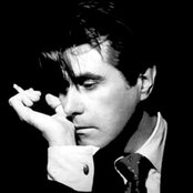 Bryan Ferry - List pictures
