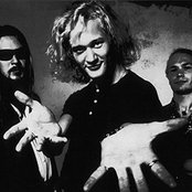 Kingston Wall - List pictures