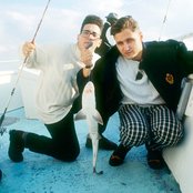 3rd Bass - List pictures