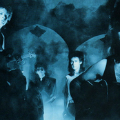 The Alarm - List pictures