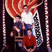 Crowded House - List pictures
