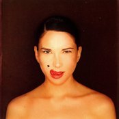 Cake Like - List pictures