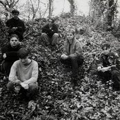 Secret Shine - List pictures