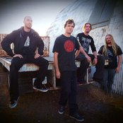 Cormorant - List pictures