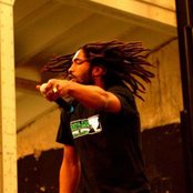 Newton - List pictures