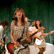 The Muffs - List pictures