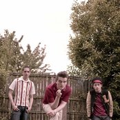 Mustang - List pictures