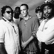 Dave Matthews Band - List pictures