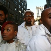 Platinum Pied Pipers - List pictures